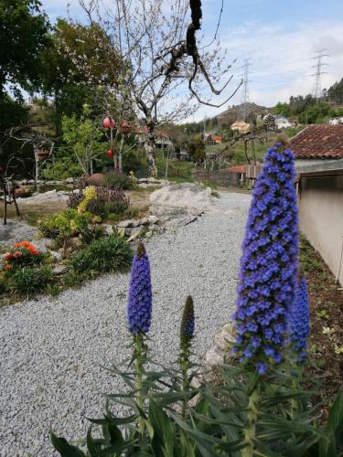 Κήπος έξω από το Casa do Serrador