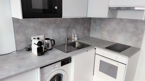 une cuisine avec un évier et une machine à laver dans l'établissement Delille centre ville 09, à Nice