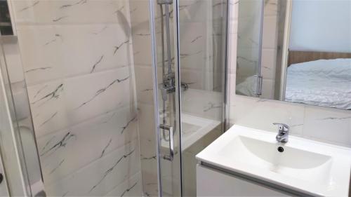 une salle de bain avec une douche, un lavabo et un miroir dans l'établissement Delille centre ville 09, à Nice