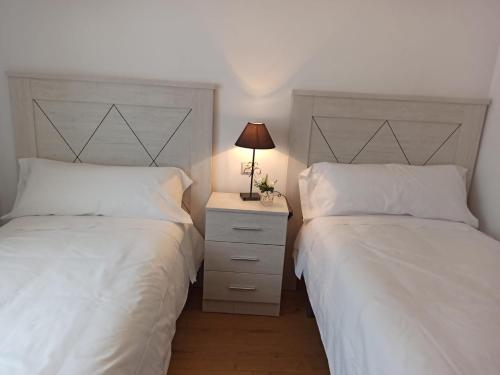 a bedroom with two beds and a lamp on a night stand at apartamento buenavista in Luarca