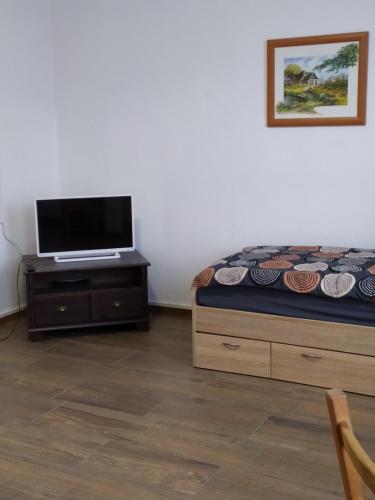 sypialnia z łóżkiem i telewizorem na komodzie w obiekcie Monteurzimmer EZ GROß w mieście Frankfurt nad Odrą
