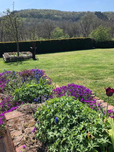 a garden with purple flowers and a field of grass at Appt. ÄISCHER in Wilwerwiltz