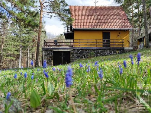a yellow house with blue flowers in front of it at Planinska kuća Čudesni bor in Divčibare