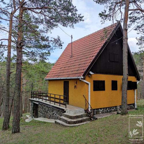 a yellow house with a red roof in the woods at Planinska kuća Čudesni bor in Divčibare