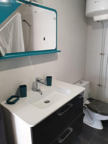 ボルゴにあるcasa di a piaghjaの洗面台、鏡、トイレ付きのバスルーム