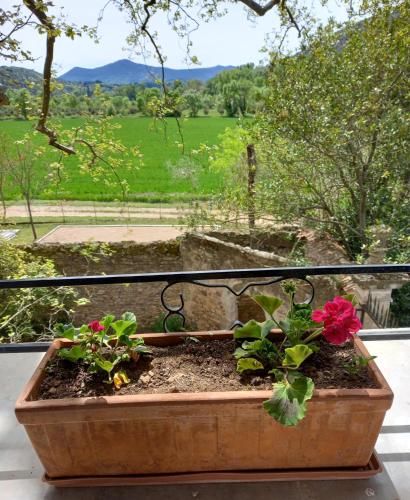 a flower pot sitting on a balcony with flowers at Chambres d'hôtes Domaine de Pélissols in Bédarieux