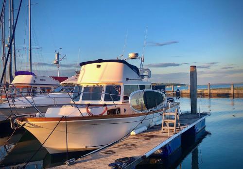 a boat is docked at a dock in the water at Motor Yacht Sea Wolf in Lymington