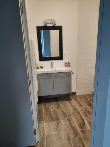 ein Bad mit einem Waschbecken und einem Spiegel in der Unterkunft Gîtes de la mousseterie in Échiré