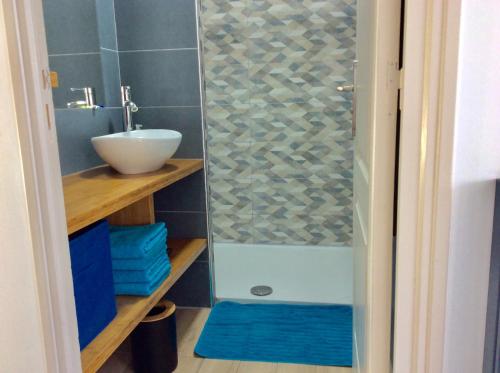 une salle de bain avec douche et lavabo dans l'établissement bienvenue chez Alain et Marie, à Antibes