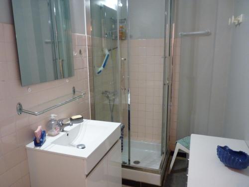 une salle de bain avec une douche et un lavabo et une douche dans l'établissement Sol-y-Days Yucca, Agreable appartement en RDC avec petite terrasse et parking à 150m de la plage, au Grau-du-Roi