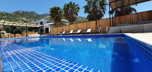 a blue swimming pool with chairs and palm trees at Villa Camelion in Kaş