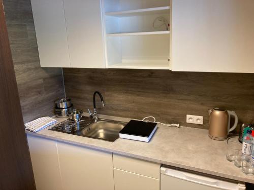 a kitchen with a sink and a counter top at Hotel Solec in Solec