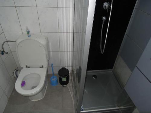 a small bathroom with a toilet and a shower at FERTILE in Charleroi