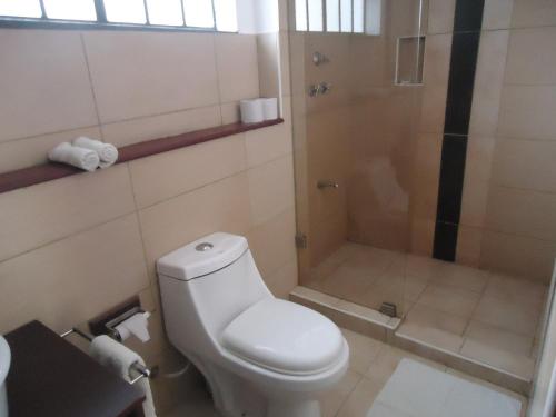 a bathroom with a toilet and a shower at Mara River Lodge in Aitong