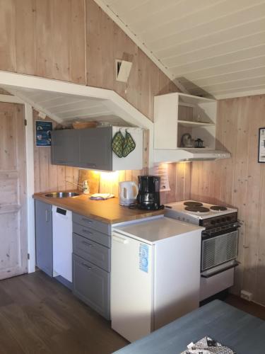 a kitchen with white appliances and wooden walls at Beitostølen Hytter in Beitostøl