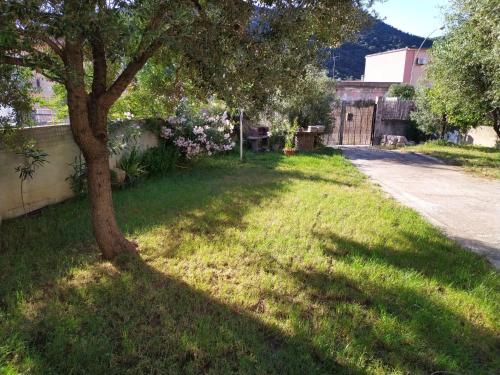 a tree in the grass next to a street at La Rosa dei Venti in Teulada
