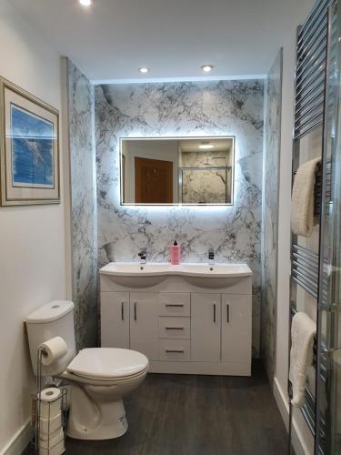 a bathroom with a toilet and a sink and a mirror at Tower Ridge House in Fort William