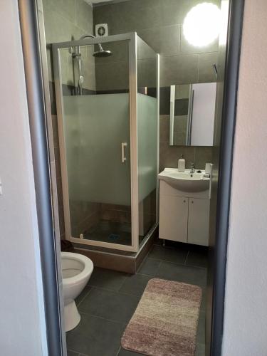 Un baño con ducha, inodoro y lavabo. en Casa din Golful Dunării, en Eşelniţa