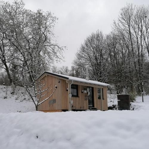 a small wooden cabin in the snow with trees at Tinyhouse am km8komma2 in Bad Berleburg