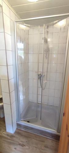 a shower with a glass door in a bathroom at Ankerplatz, Am Hafen Ost 10 in Carolinensiel