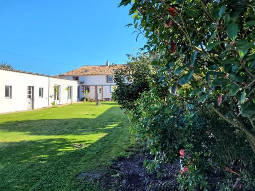 an apple tree in a yard next to a building at "Le studio" in Mouilleron-le-Captif