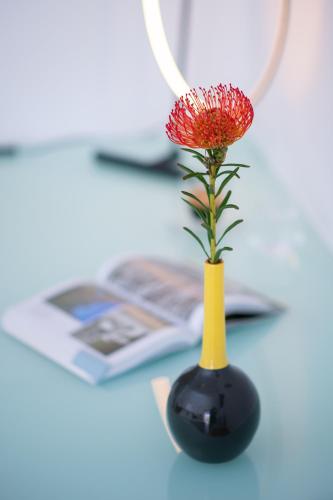 a red flower in a yellow and black vase on a desk at Elements Sifnos Boutique in Faros