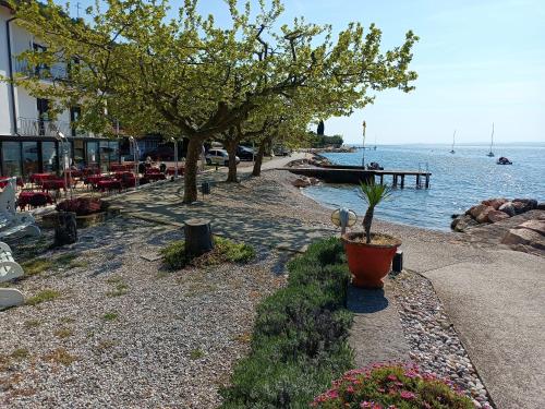 a beach with trees and a body of water at Hotel S.Maria in Brenzone sul Garda