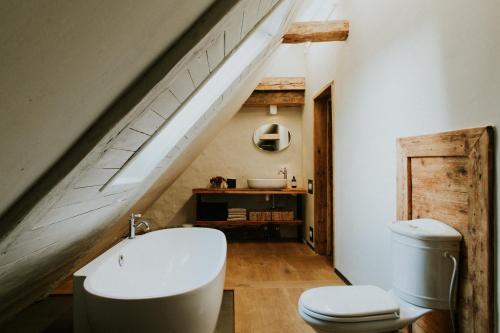 a bathroom with a sink and a toilet at Kalēju ielas rezidence: Talsu vecpilsētas pērle in Talsi