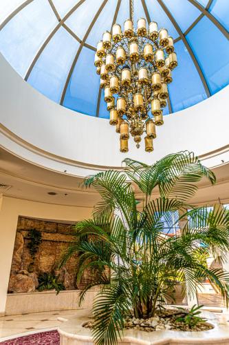 Fotografie z fotogalerie ubytování בוטיק לה פלמורה אילת v destinaci Eilat