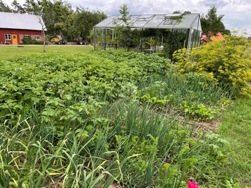 a garden with a greenhouse in the background at Askebo Brygghus in Gislaved