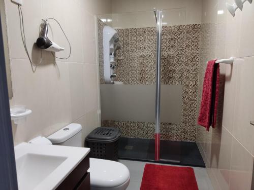 bagno con doccia, servizi igienici e tappeto rosso di Maison de vacances et week-end, 2 a Esposende