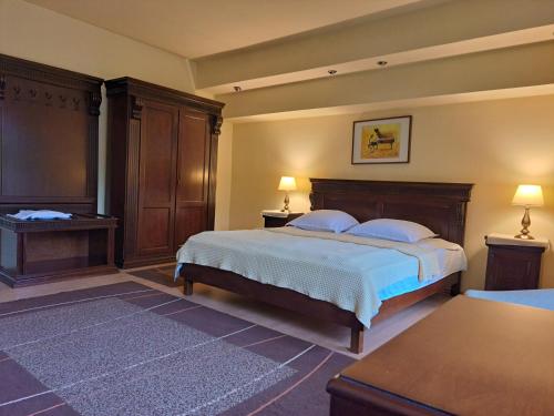 a bedroom with a bed and two tables and two lamps at Pensiunea Irina in Tilişca