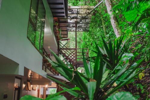 a spiral staircase in a building with a plant at Rupa Rupa High Jungle Eco B&B in Machu Picchu