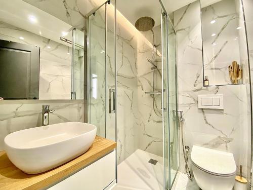 une salle de bain avec un lavabo et une douche dans l'établissement Bioves en Duplex-climatisation-centre ville-plage, à Menton