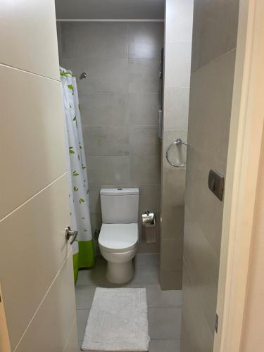 a small bathroom with a toilet and a shower at Apart Hotel R&P Depto B in Puerto Varas