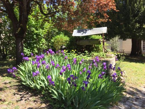 a garden with purple flowers in front of a sign at LE PRESBYTÈRE DE LA CITE ROYALE DE LOCHES in Loches