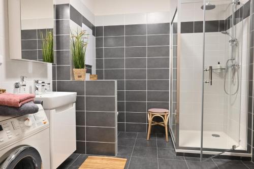 La salle de bains est pourvue d'une douche et d'un lave-linge. dans l'établissement Apartmán Mija, à Frymburk