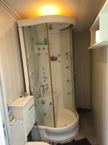 a small bathroom with a shower and a toilet at Studio 2 ou 3 places in Verdun-sur-le-Doubs