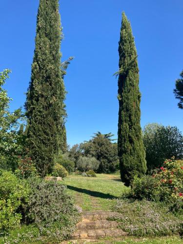 two tall trees in a garden with bushes and flowers at Tenuta Poggio alla Farnia in Fauglia
