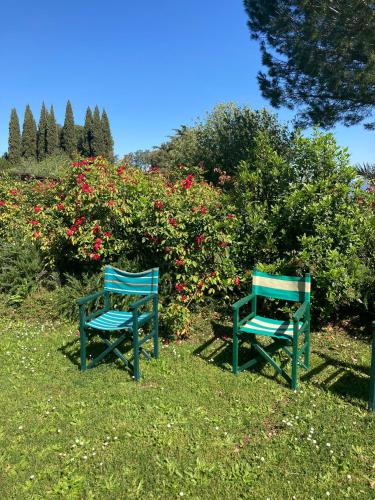 two blue benches sitting in the grass in front of a bush at Tenuta Poggio alla Farnia in Fauglia