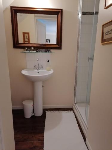 a bathroom with a sink and a shower with a mirror at Manoir du Clap in La Cerlangue