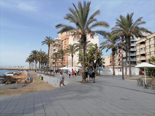 Sunny appartment with pool Torrevieja center