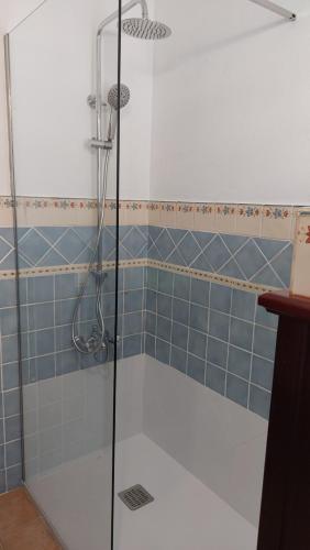 ロス・ジャノス・デ・アリダネにあるVilla Torresのバスルーム(青いタイル張りのシャワー付)