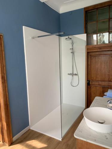 a bathroom with a shower and a white sink at Villa Theresa à 25 min de PAIRI DAIZA in Soignies