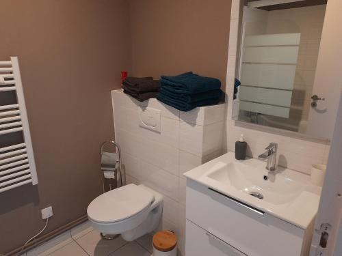 a bathroom with a white toilet and a sink at Appartement moderne et spacieux in Sedan