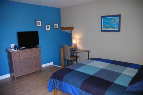a bedroom with a bed and a dresser with a television at L'Horizon des Landes in Doazit