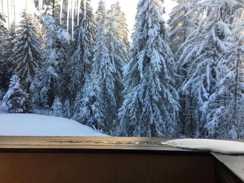 Borovets Chalets – Photos 5