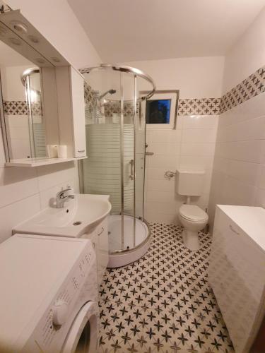 uma casa de banho com um chuveiro, um lavatório e um WC. em Country House Iva em Trbounje