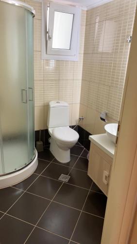 a bathroom with a toilet and a sink and a shower at Theasis apartment in Pera Gyalos