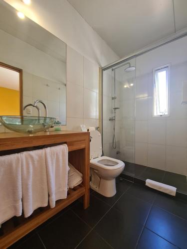 a bathroom with a sink and a toilet and a shower at Nova Posada in Colonia del Sacramento
